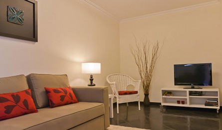 Hebergement Local Appartements Longue Duree T1 Portugal Lisbonne Mere Brigida Living Room Pateodasbuganvilias